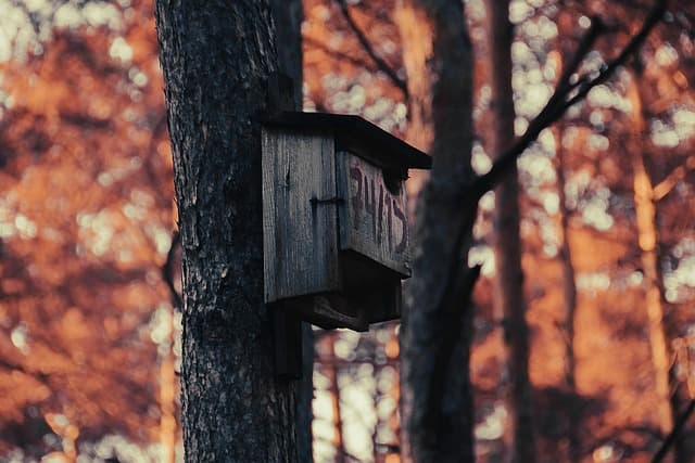 Akcesoria dla psów - Kompletny przewodnik zakupu